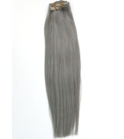 Platinum Gray Clip-in